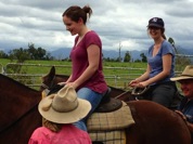 for a "horse & cattle experience"